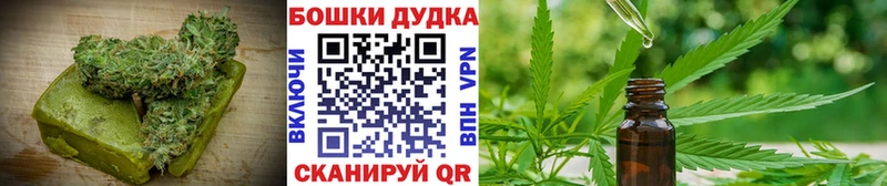 MEGA зеркало  Нахабино  Canna-Cookies марихуана 