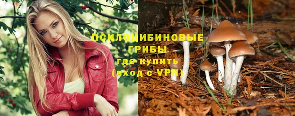 кокаин Покачи