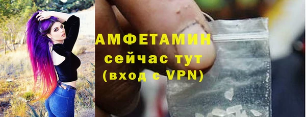 прущие грибы Пересвет